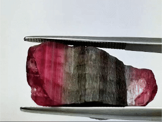 18.10ct Tourmaline Bicolor Piece 25x12mm