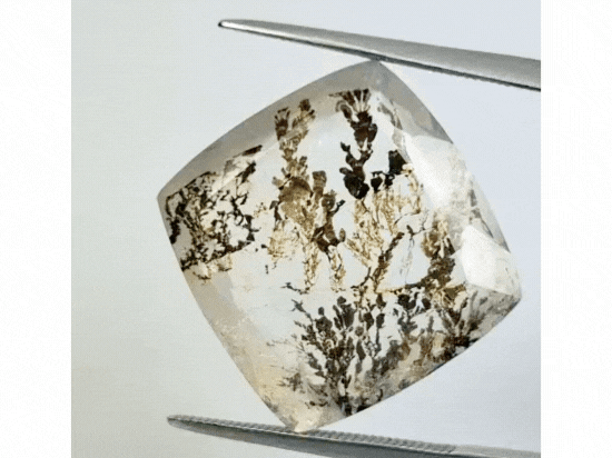 19.20ct Dendrite 19mm