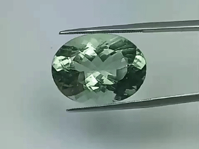 20.10ct Prasiolite 20x15mm