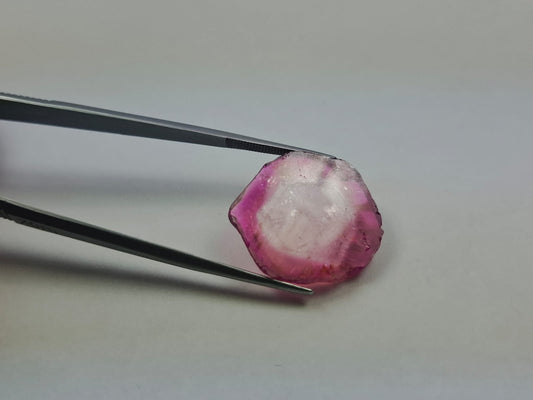 18.30ct Watermelon Tourmaline 23x22mm