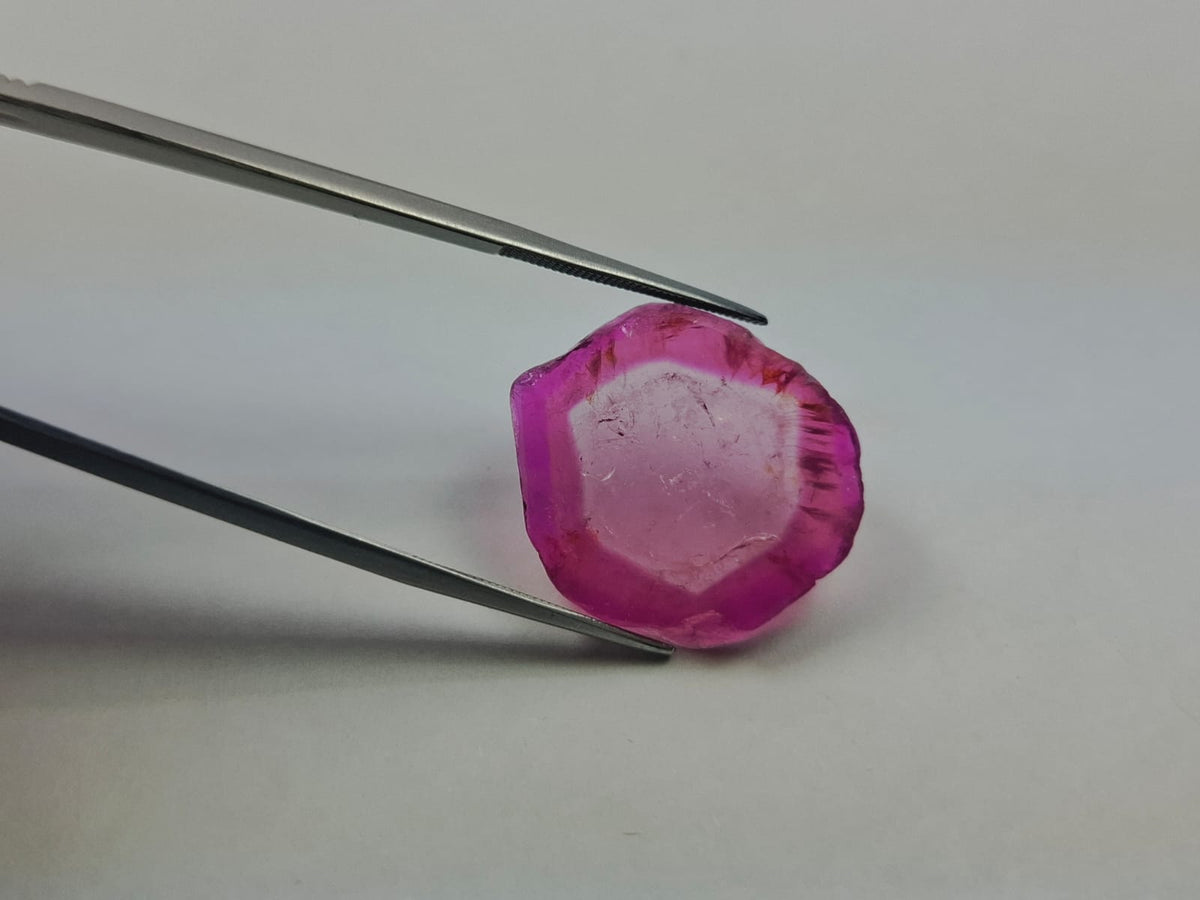 18.30ct Watermelon Tourmaline 23x22mm