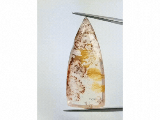 61.80ct Dendrite 48x18mm