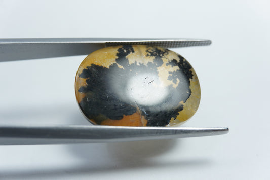 15.50ct Dendrite 21x15mm