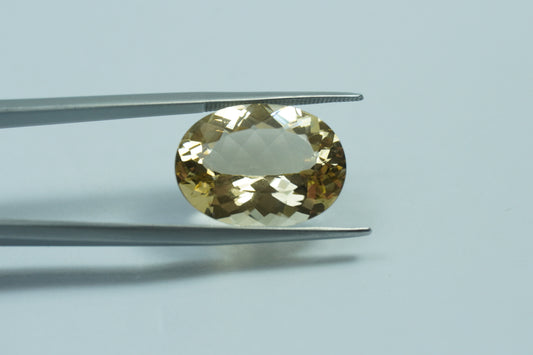 13.75ct Morganite 19x15mm