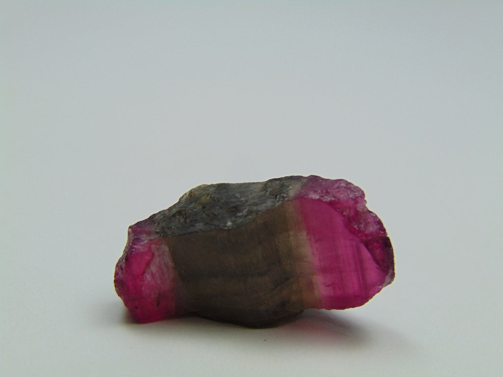 18.10ct Tourmaline Bicolor Piece 25x12mm
