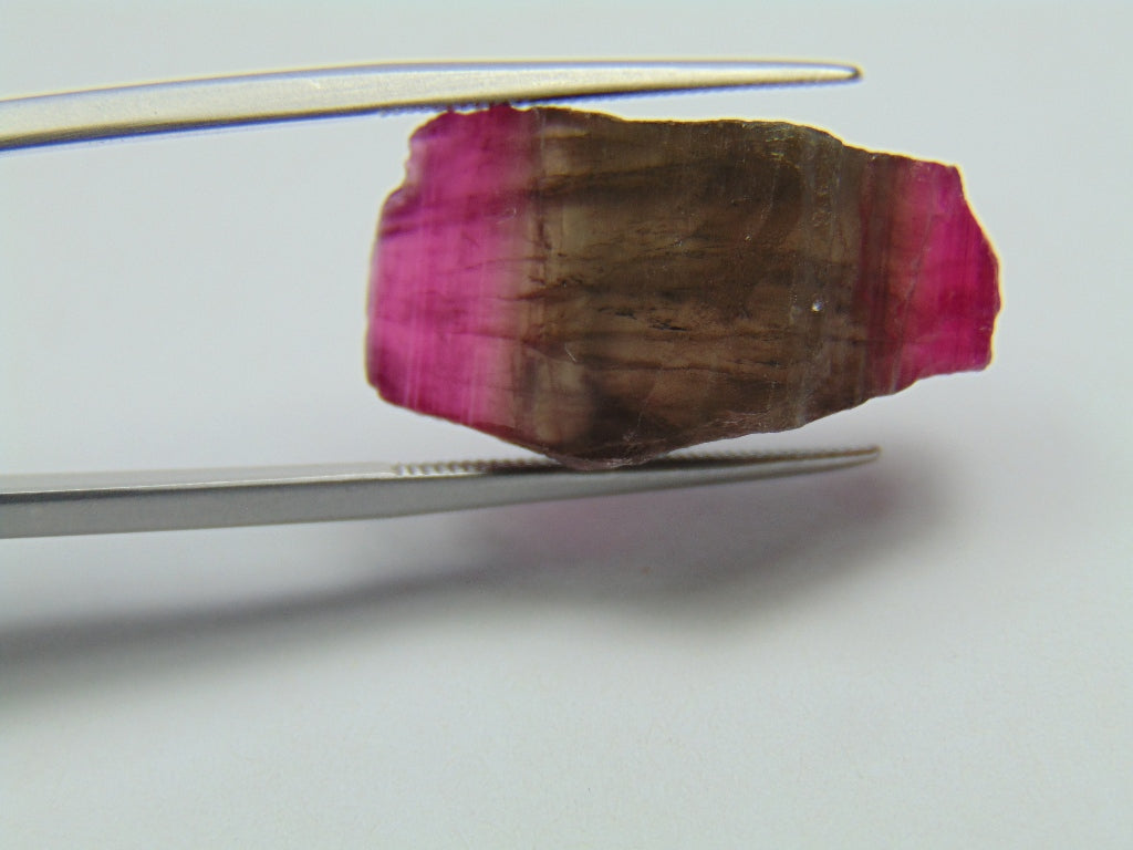 18.10ct Tourmaline Bicolor Piece 25x12mm