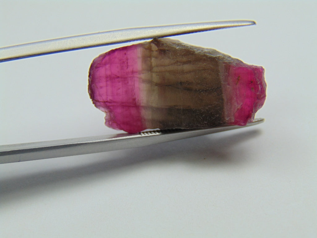 18.10ct Tourmaline Bicolor Piece 25x12mm