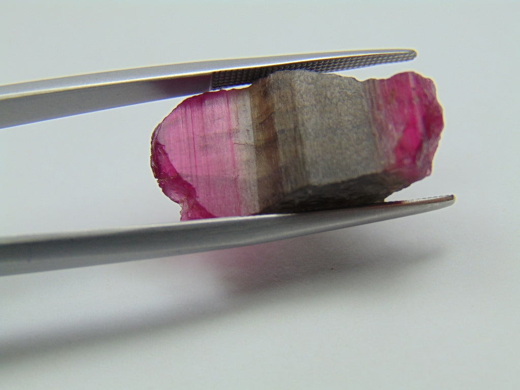 18.10ct Tourmaline Bicolor Piece 25x12mm