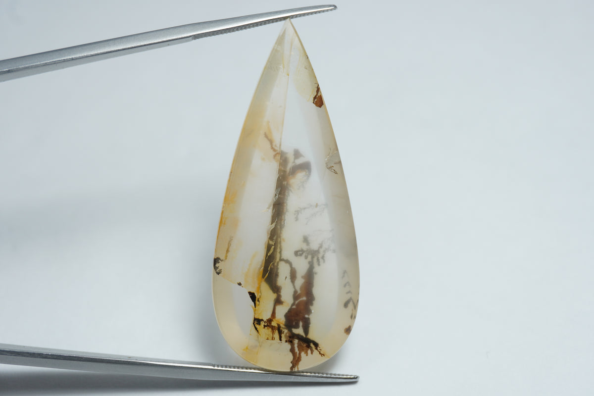 29.70ct Dendrite 44x18mm
