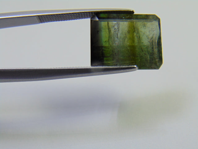 9.30ct Tourmaline Bicolor 13x11mm