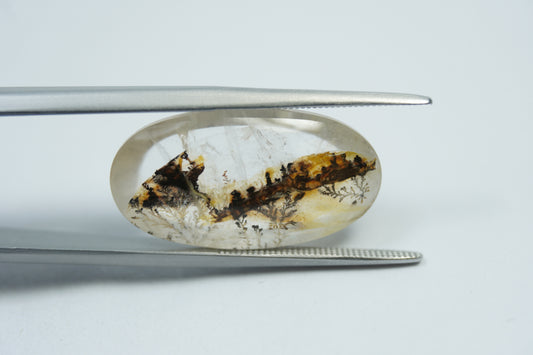 14.65ct Dendrite 24x13mm