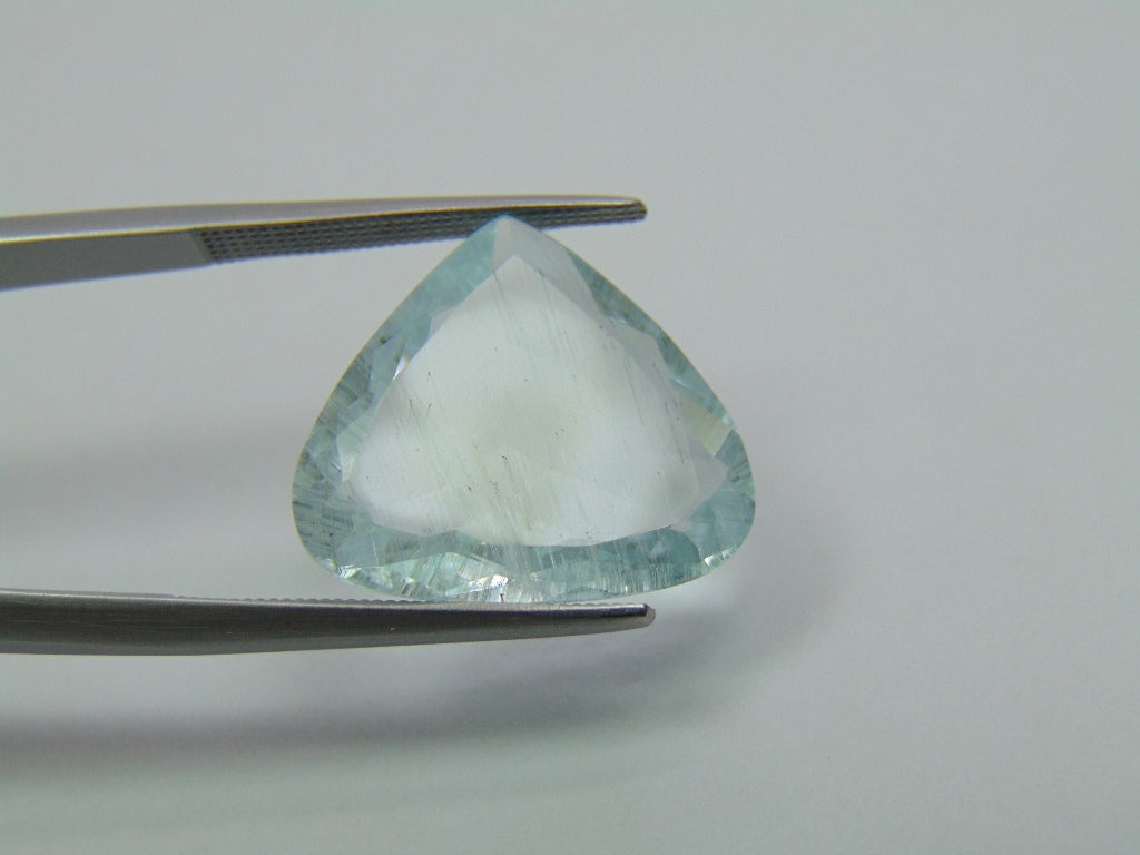 9.50ct Aquamarine With Needle 18x16mm