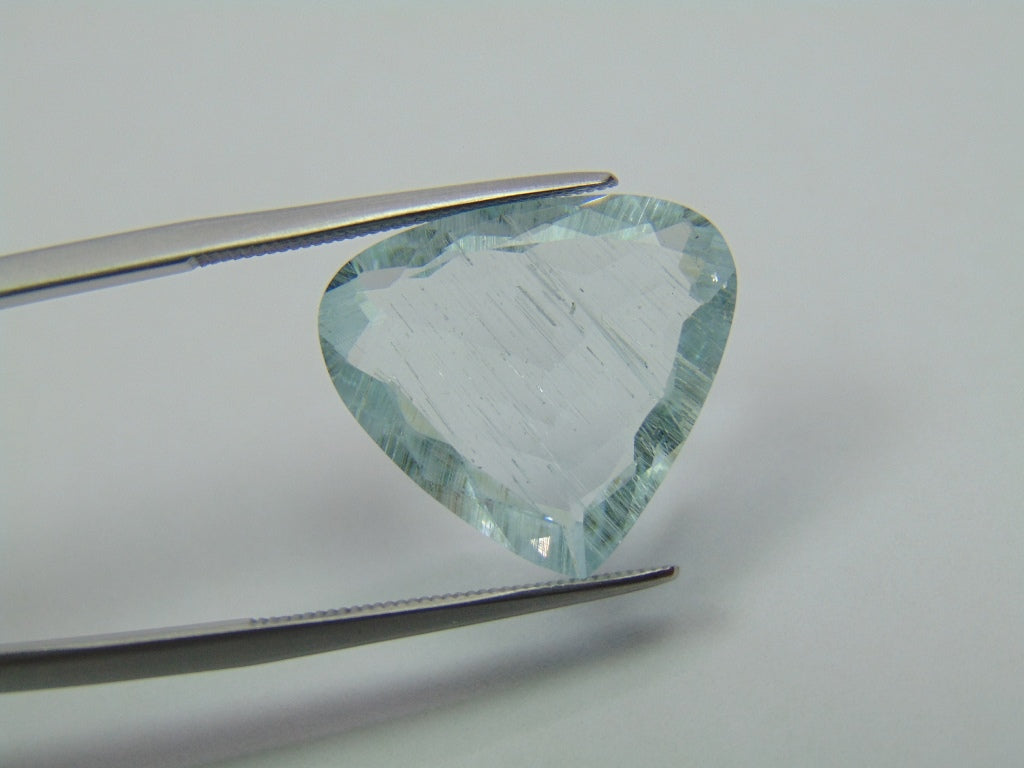 9.50ct Aquamarine With Needle 18x16mm