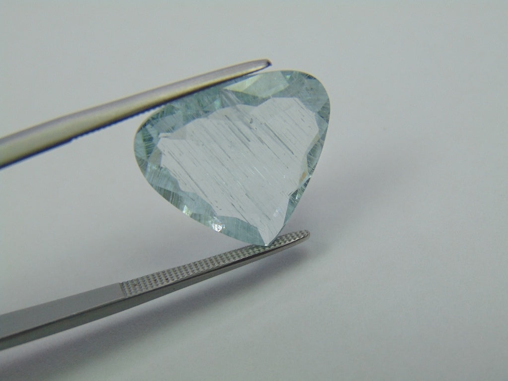 9.50ct Aquamarine With Needle 18x16mm