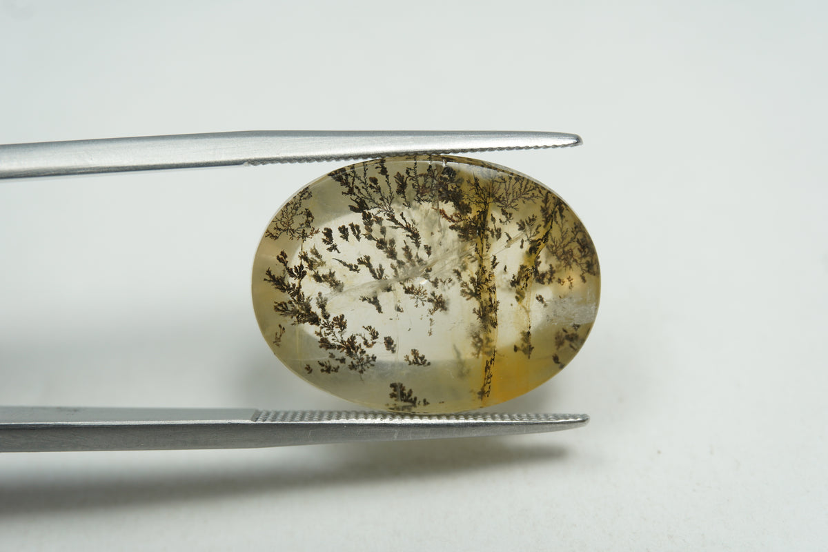 13.17ct Dendrite 19x15mm