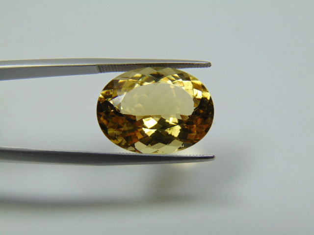 13.90ct Beryl 19x14mm