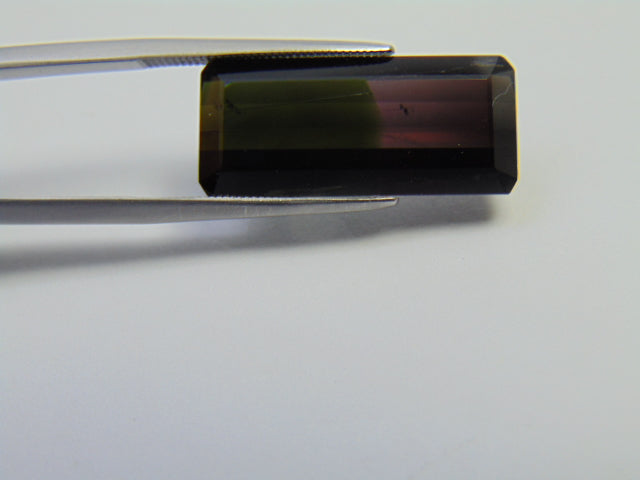 11.50ct Tourmaline Bicolor 23x10mm