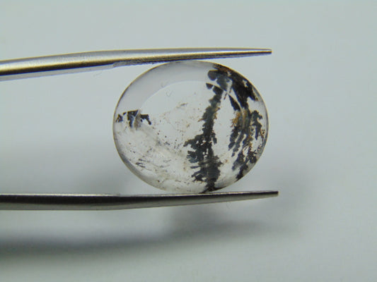 9.70ct Dendrite 17x15mm