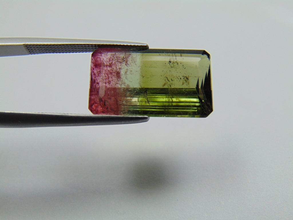 10.75ct Tourmaline Bicolor 18x10mm
