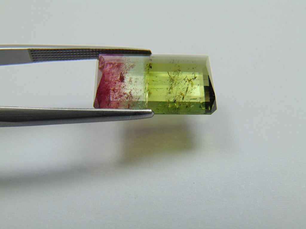 10.75ct Tourmaline Bicolor 18x10mm