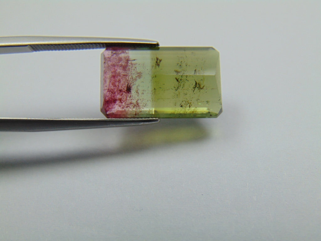 10.75ct Tourmaline Bicolor 18x10mm