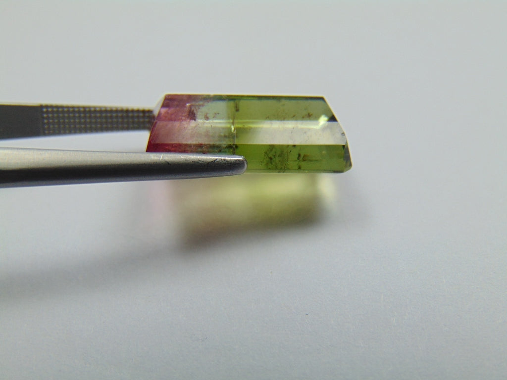 10.75ct Tourmaline Bicolor 18x10mm