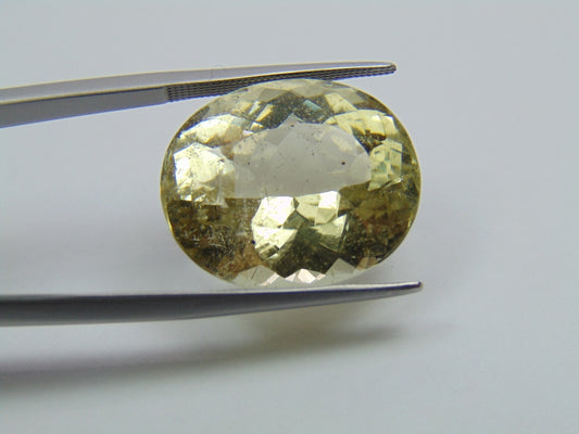 25.15ct Beryl 20x16mm
