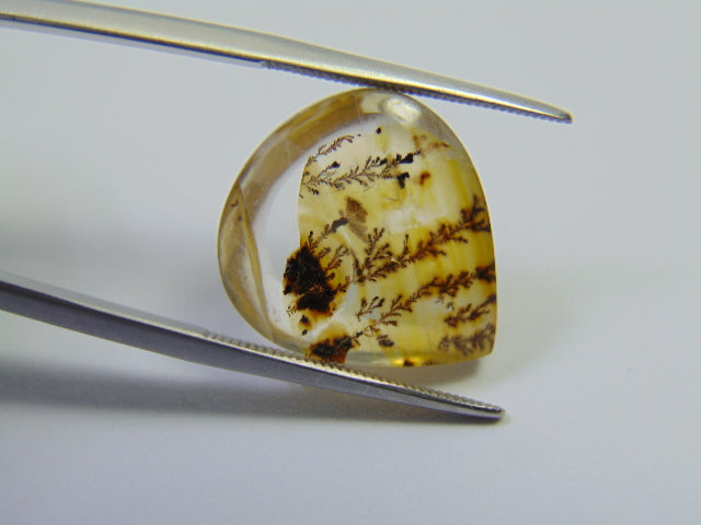 11.40ct Dendrite 19x17mm