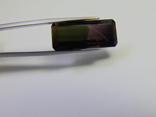 11.90ct Tourmaline Bicolor 23x10mm