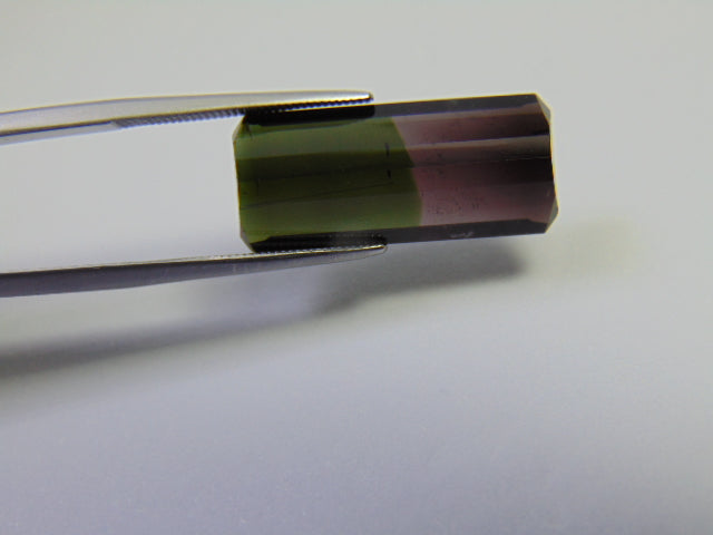 11.90ct Tourmaline Bicolor 23x10mm