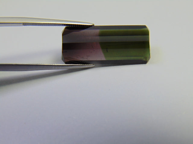 11.90ct Tourmaline Bicolor 23x10mm