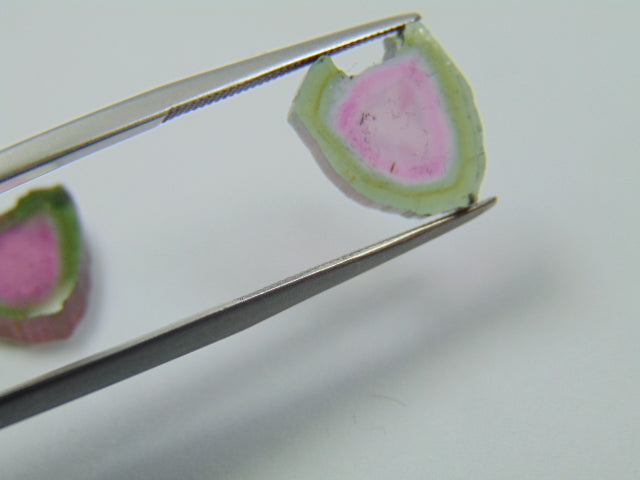 9.50ct Watermelon Tourmaline Pair 12x11mm