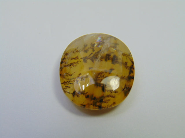 27.20ct Dendrite 23x20mm