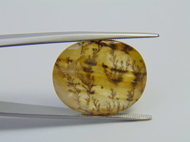 27.20ct Dendrite 23x20mm