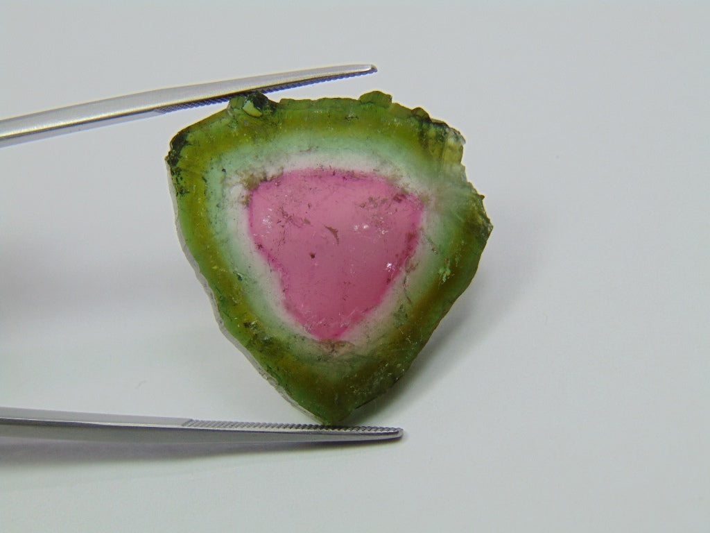 32.19ct Watermelon Tourmaline 27.5x25mm