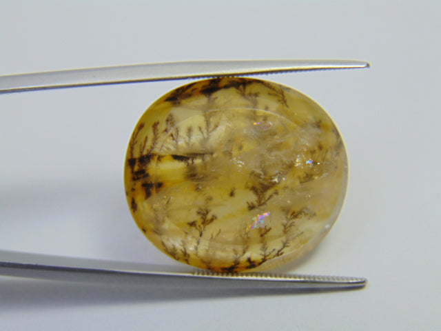 27.20ct Dendrite 23x20mm