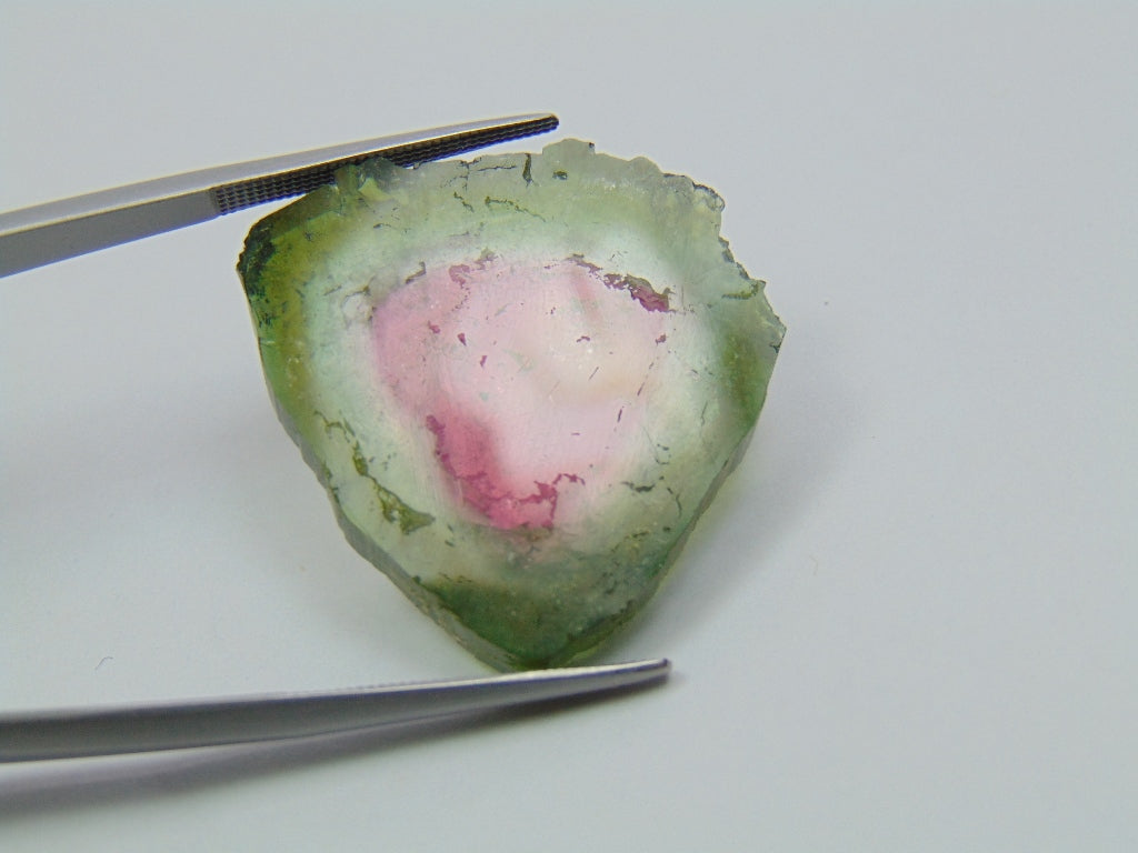 32.19ct Watermelon Tourmaline 27.5x25mm