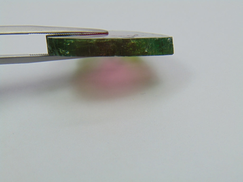 32.19ct Watermelon Tourmaline 27.5x25mm