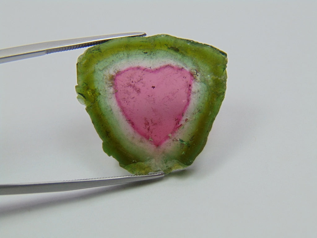 32.19ct Watermelon Tourmaline 27.5x25mm