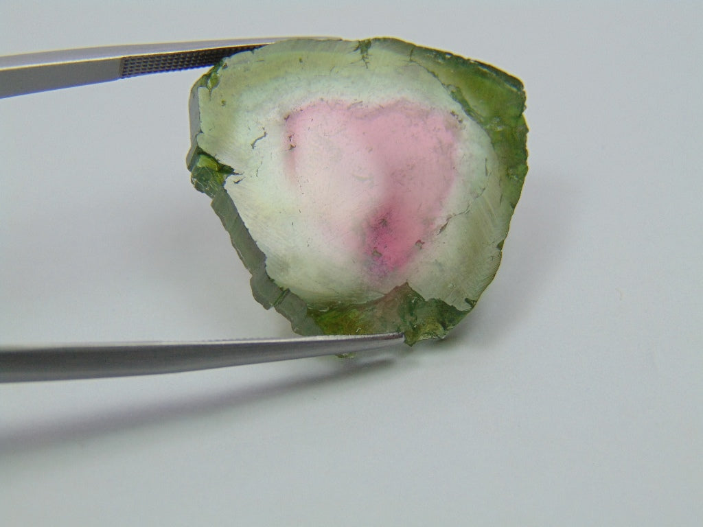32.19ct Watermelon Tourmaline 27.5x25mm