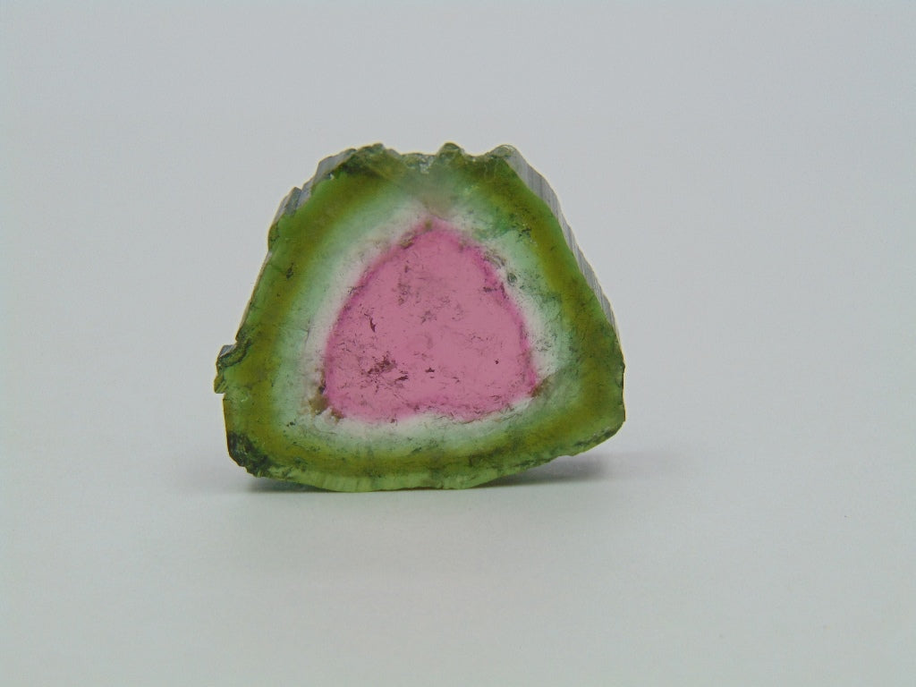 32.19ct Watermelon Tourmaline 27.5x25mm