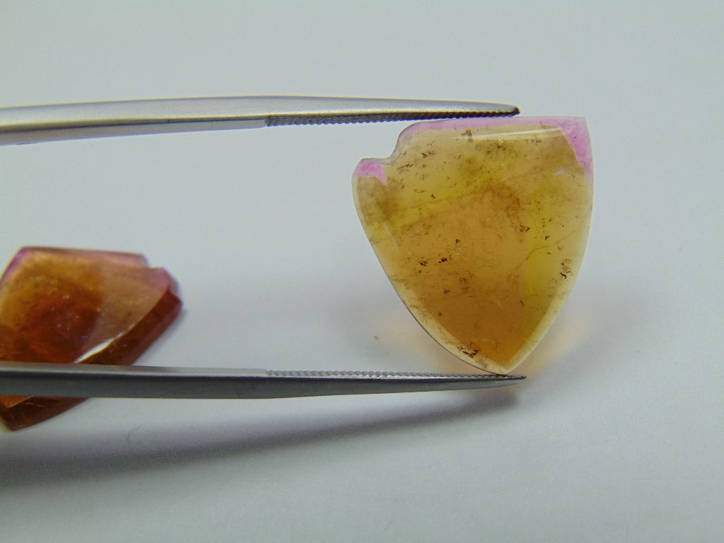 16.15ct Watermelon Tourmaline Pair 18x14mm