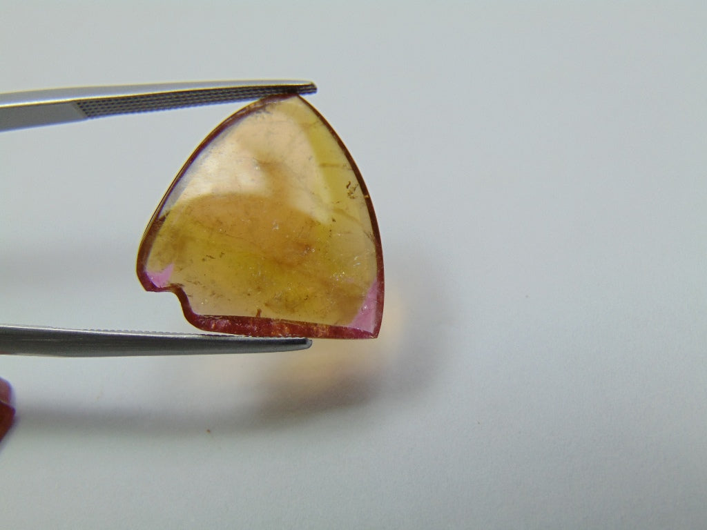 16.15ct Watermelon Tourmaline Pair 18x14mm