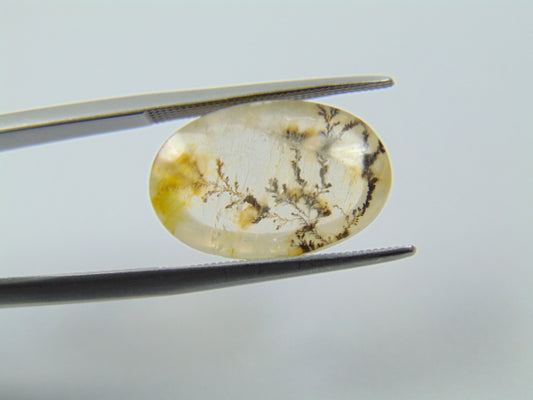 7.20ct Dendrite 18x12mm