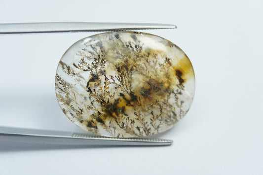 20.20ct Dendrite 25x19mm