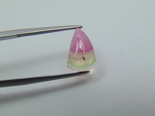 2.75ct Tourmaline Bicolor Cabochon 12x8mm