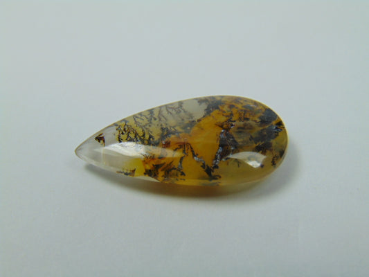 10.65ct Dendrite 25x12mm
