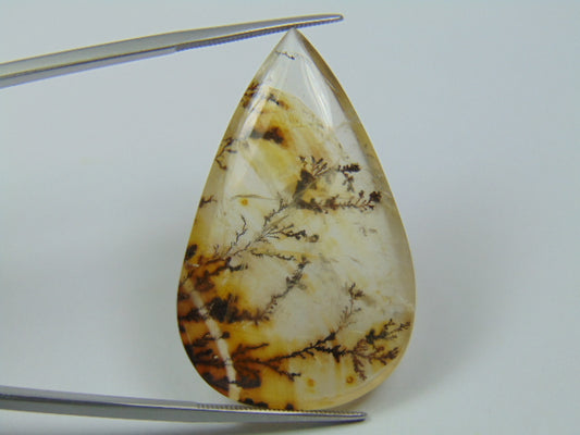 52.25ct Dendrite 41x26mm