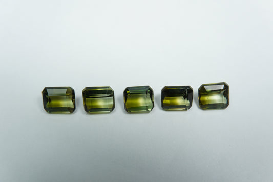 4.90ct Tourmalines bicolor 6x5mm