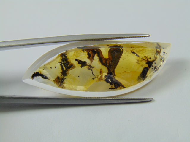 32.80ct Dendrite 43x11mm